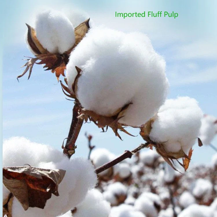 Cheap Price Senior Unisex Incontinence Panty Adult Diaper Underwear Men Women Adult Pants Diaper