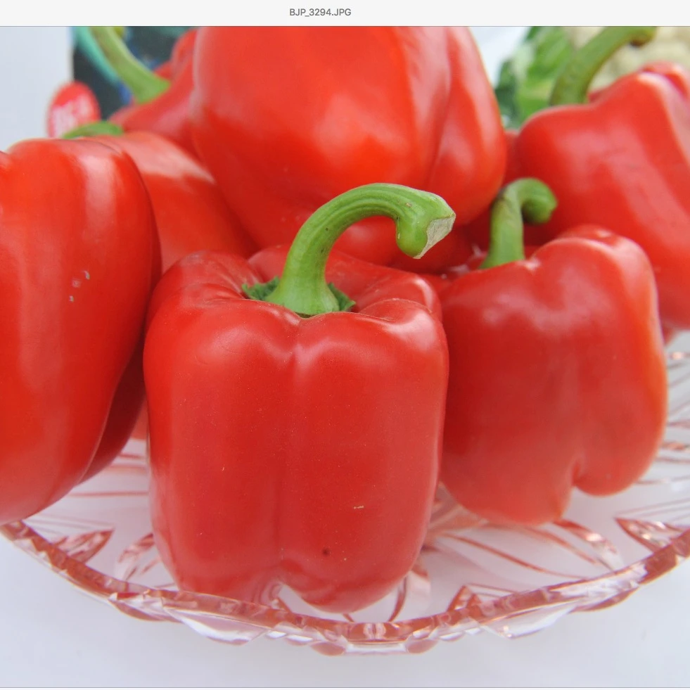 
Suntoday Red sweet bell pepper Capsicum chilli seeds 10gr/bag 