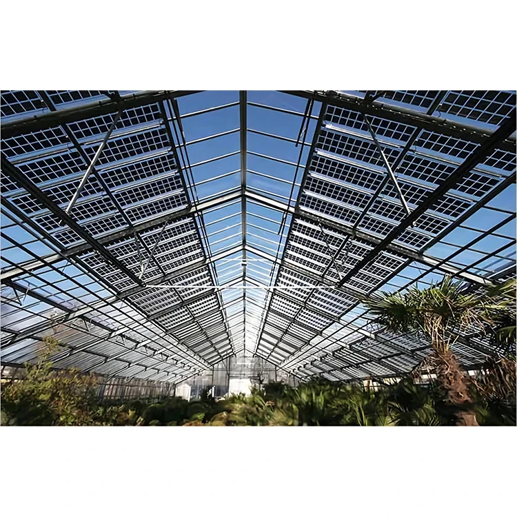 Solar Frameless Solar PV Modules Surface Glass Backsheet 100W Transparent Solar Panel 200W 300W For Roof Installation BIPV