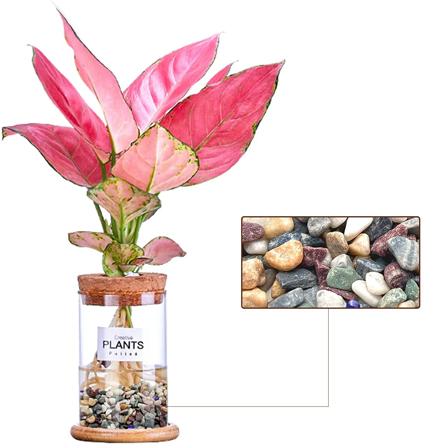 Factory Supply Tumbled Gravels Pebble Natural Stone for Landscape