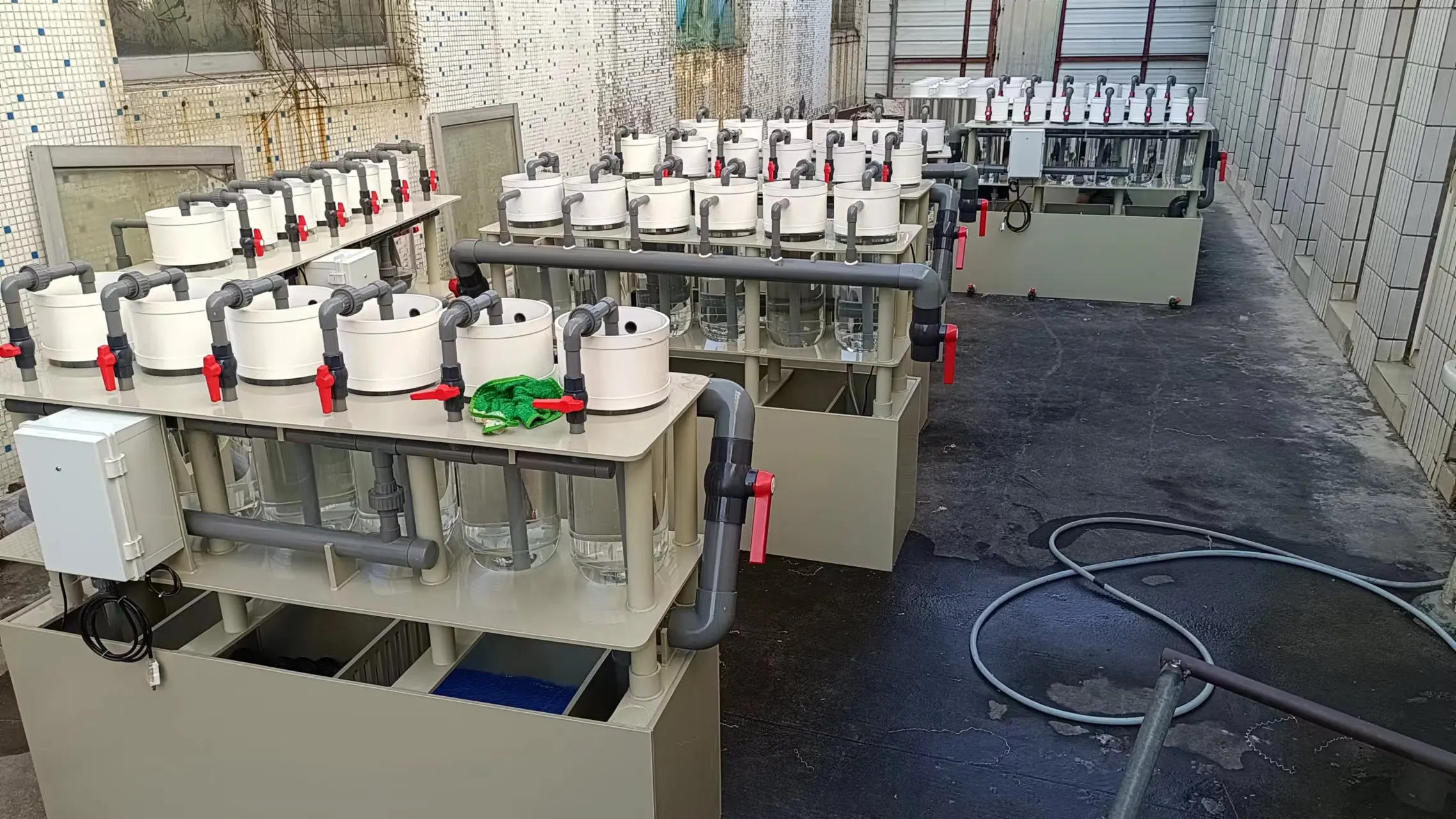 ECO High yield 120000 eggs incubator/high survival incubator equipment