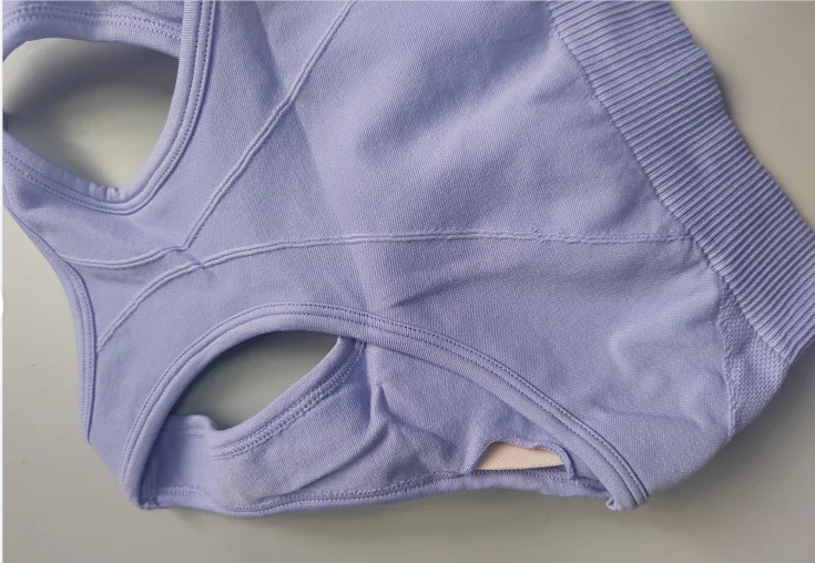 Sports Bra Tops Women's Gym Clothing Promotion Drop Shipping Seamless Pants Sportswear Casual Stretch Seamless Yoga Set