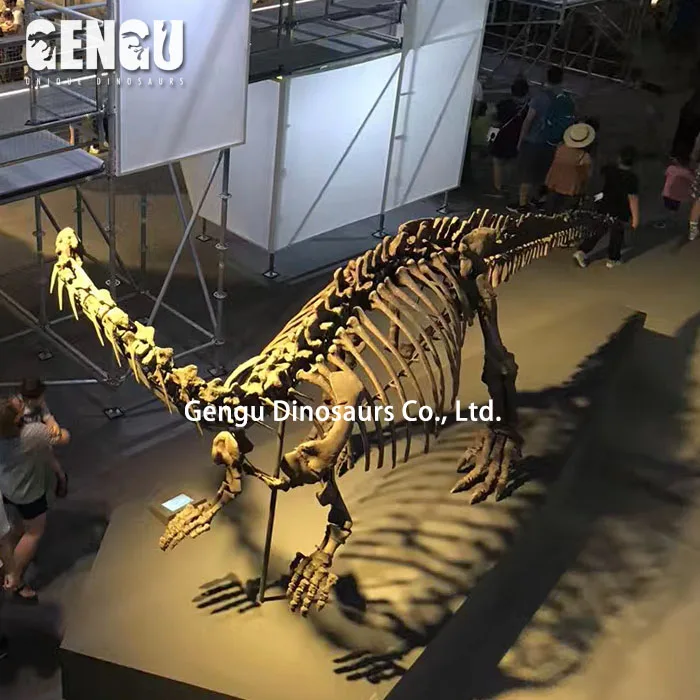Zigong Dinosaur Museum Skeleton Model Of Dinosaur Spinosaurus