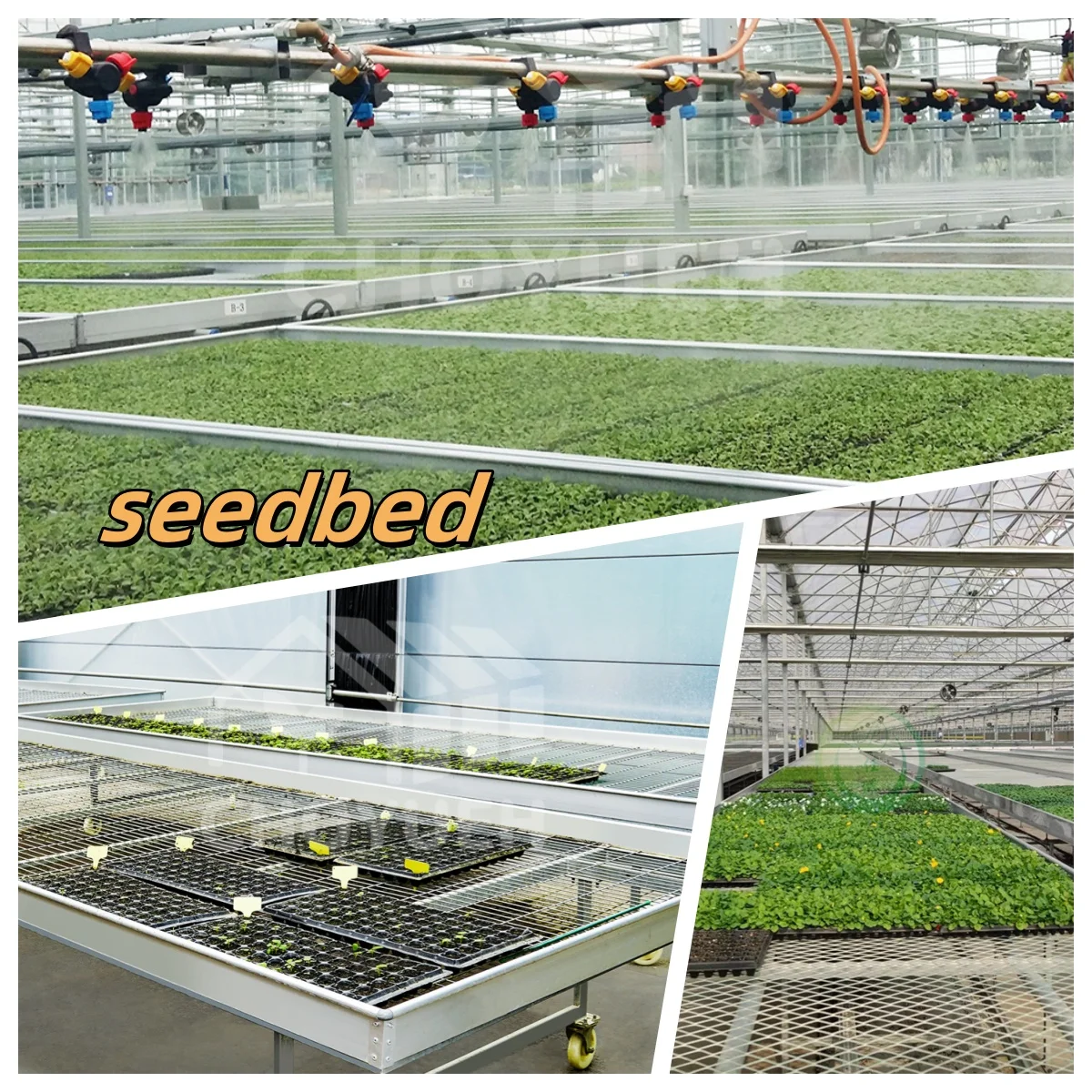 Jiapei Tomato Green House Large Hydroponics Multi-span Film Sheet Greenhouse with Tomato Growing System Large Large Solar Fans