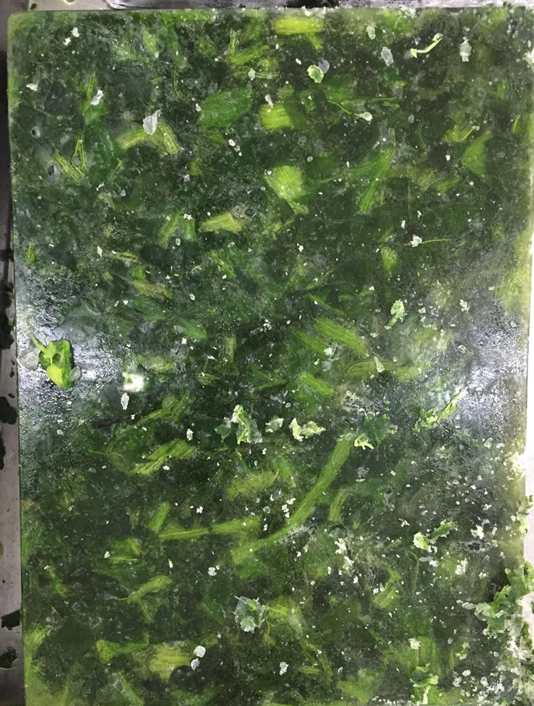 Hot Selling Premium Quality IQF Frozen Chopped Spinach Cubes Freshly Whole IQF Frozen Vegetables BRC Halal Certified Bulk