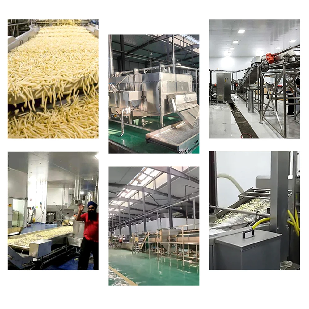 TCA steam peeling hydro cutting fully automatic frozen french fries potato chips making machine for sale