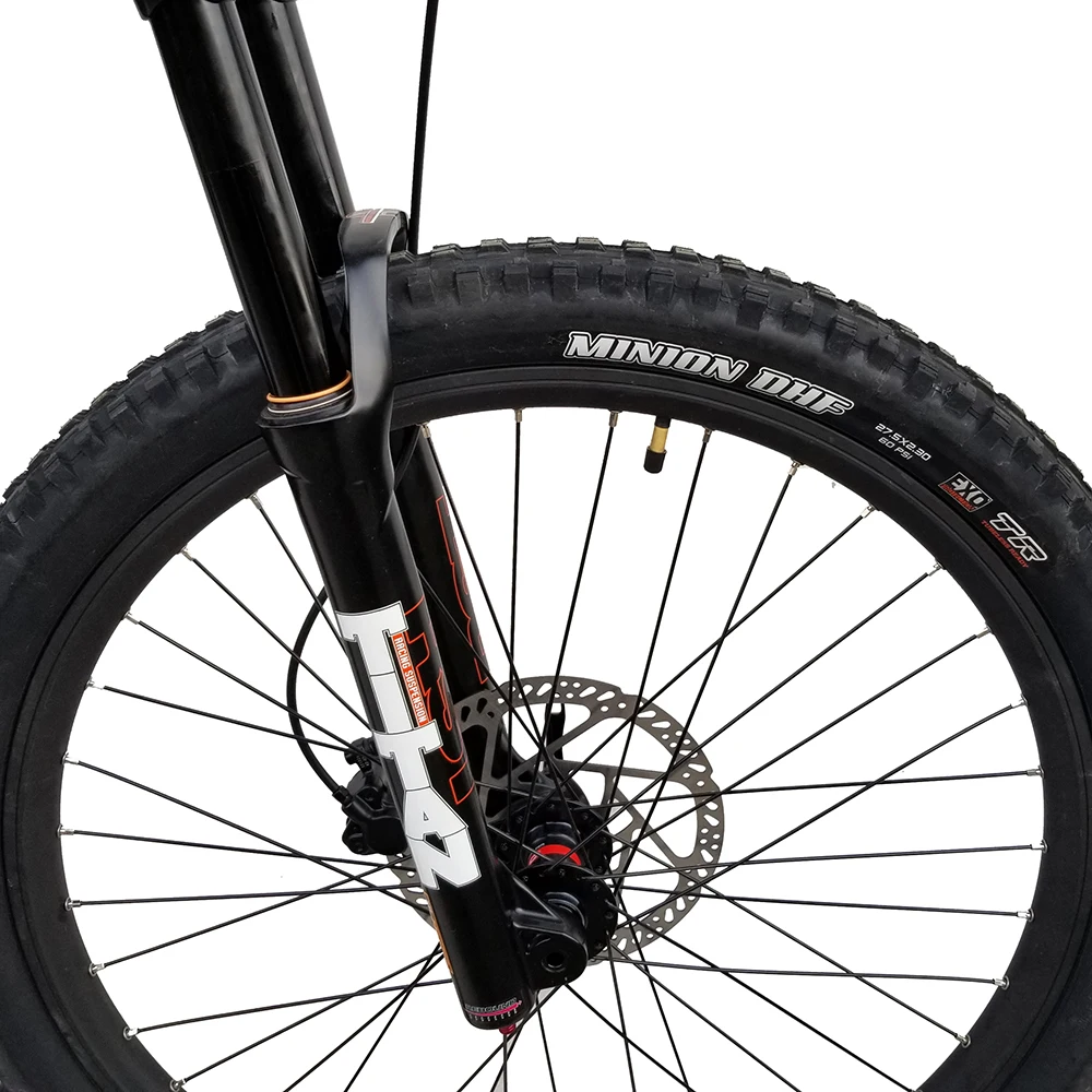 2021 New Design 1000W Bafang Mid Motor Electric Mountain Bike Lithium Battery Ce LCD Display 48V Aluminum Alloy 9 Speed 10.5 AH