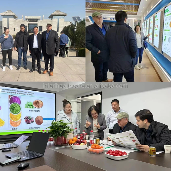 Natural water spinach seed with low price organic red spinach plant extract powder spinach