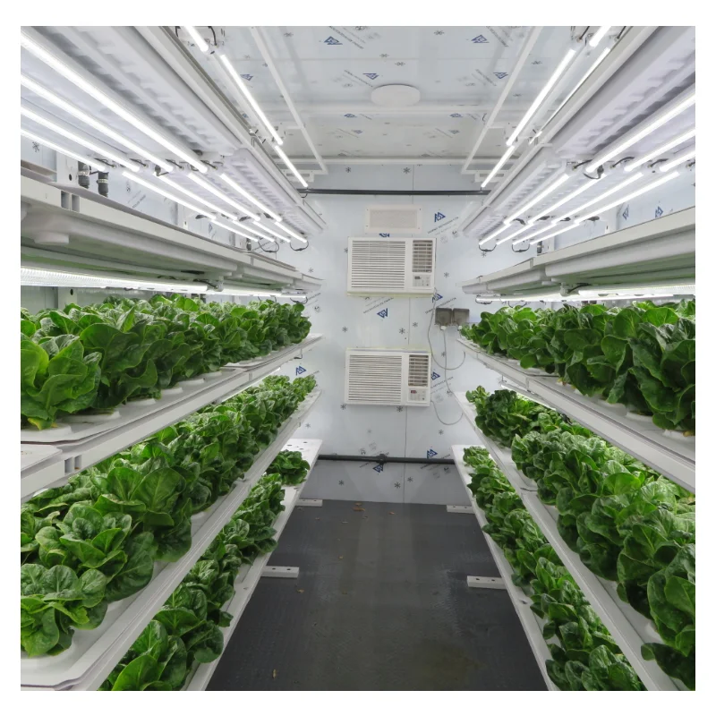 Hydroponics Farm Container Greenhouse Agricultural Grow Container 40 HQ Shipping Container Vertical Farming