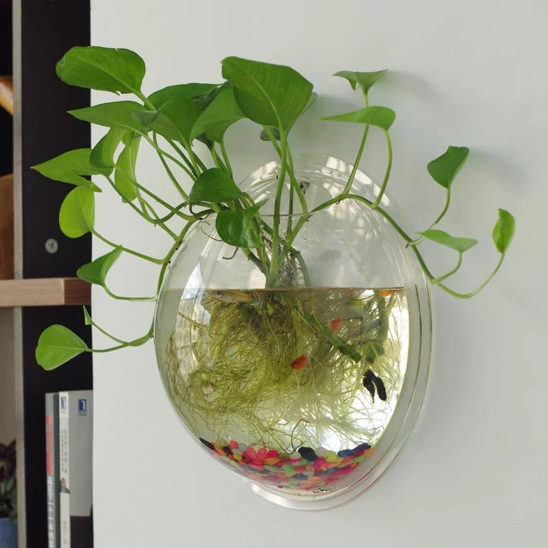 Bestseller Wall Hanging Acrylic Aquarium Fish Tank Flower Plant Pot Wholesale From China