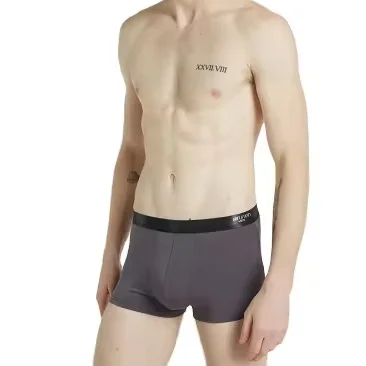 Modern Latest Custom-Made Compression Mens Underwear Boxers Underwear Cotton Fashion Underwear