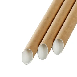 Hot selling Disposable Biodegradable Flat Paper Packaging Straw for drinking