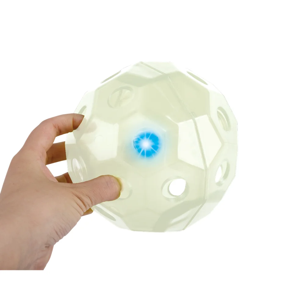 AFP New Arrival Night Outdoor Walking Lights Up Pet Product Glowing In The Dark Flashing Leash Harness Dog Chew Ball Flyer Stick