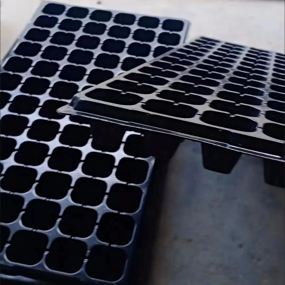 Direct deal tomato seedling tray for rockwool plugs 98 cell seedling tray