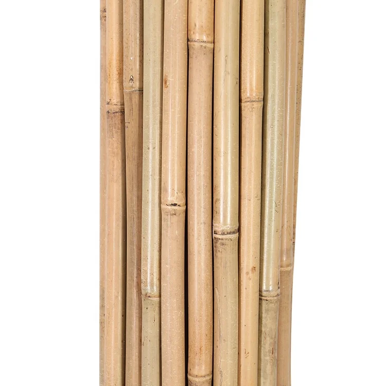 Chinese bamboo pole dia.20/22mm x 150cm for plant support