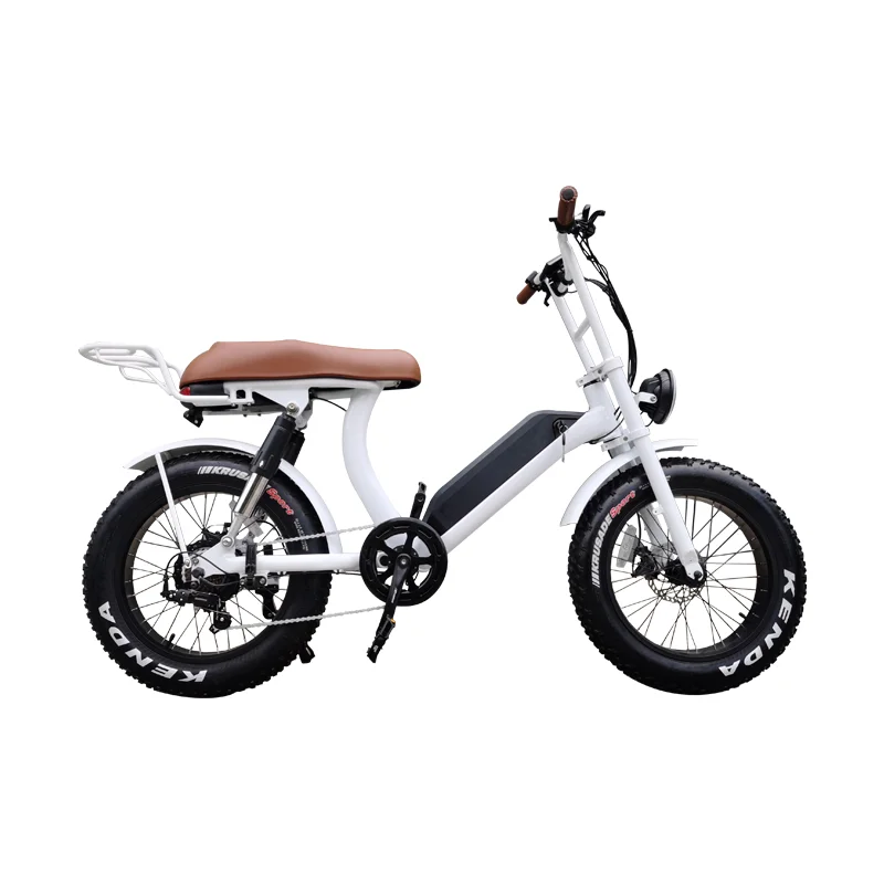 China low price customized 500W / 750W 1000w 48V retro fat tire ebike 20inch full suspension electric bike bicycle