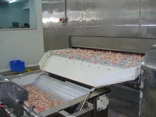 Quick Freezing Strawberry Chicken French Fries Small Blast Freezer Poultry IQF Quick  Tunnel Freezer