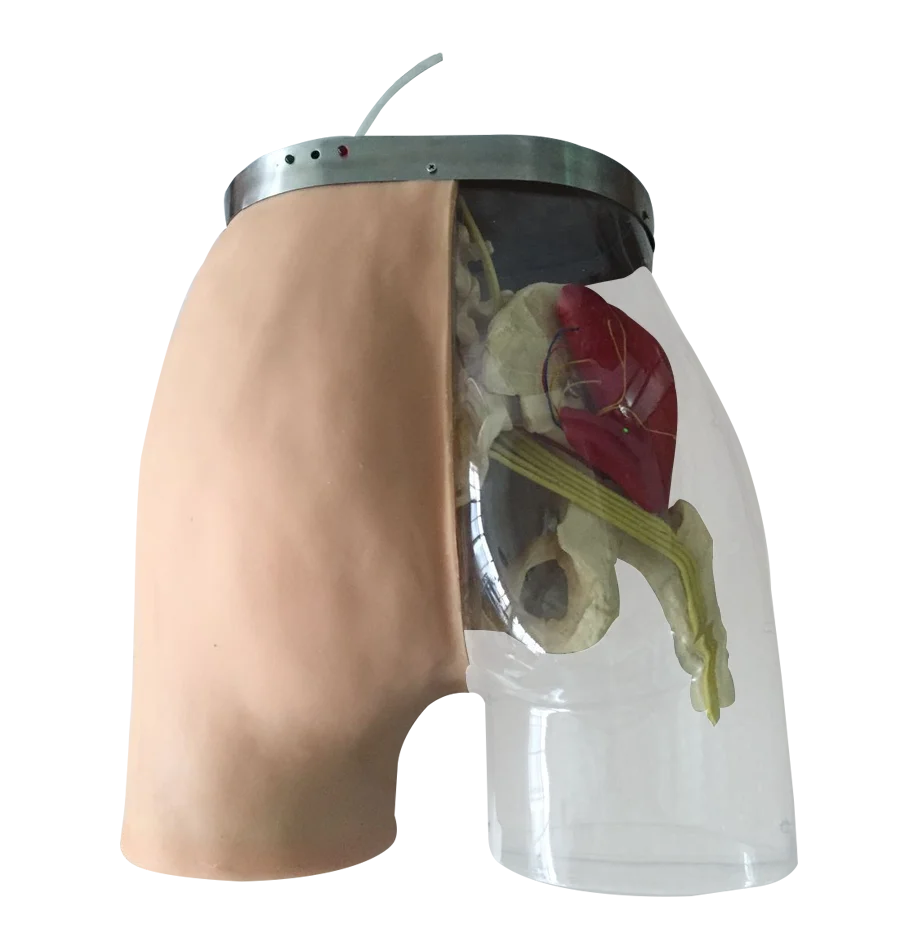 ADA-H5T Buttocks Intramuscular Injection training and Compared Simulator