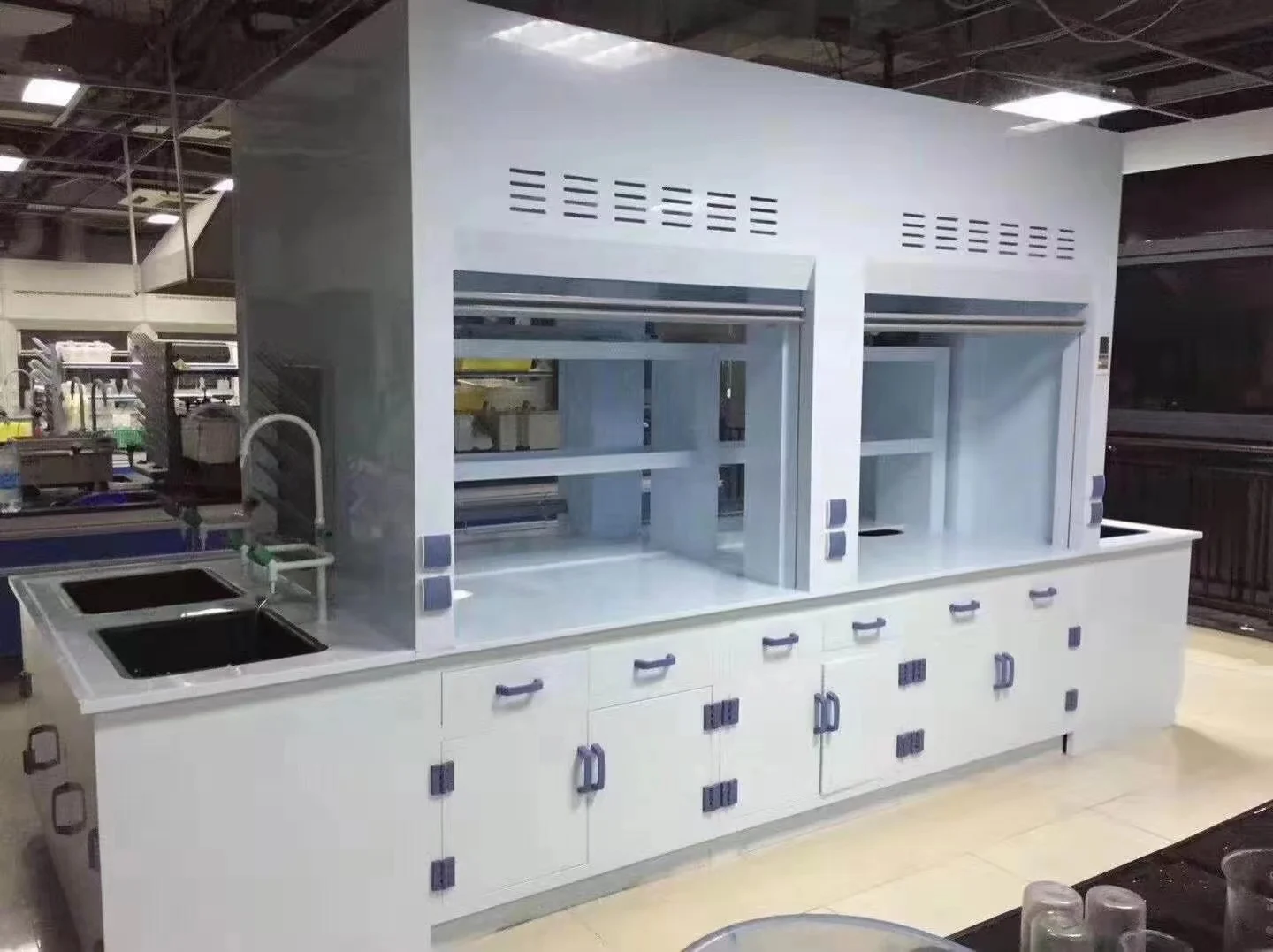 PP Chemistry Laboratory Fume Hood Lab Equipment price