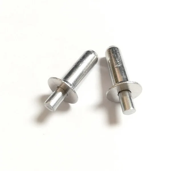 Aluminum Jumbo Head Full Brazier Hammer Drive Pin Rivets With Plastic Gasket Washer