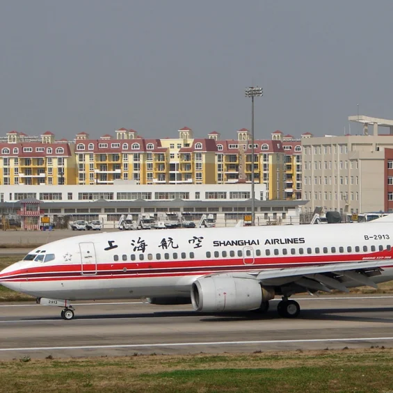 From Fuyang City shipping adidas shoes to Milan by DHL/UPS/SF/FedEx service