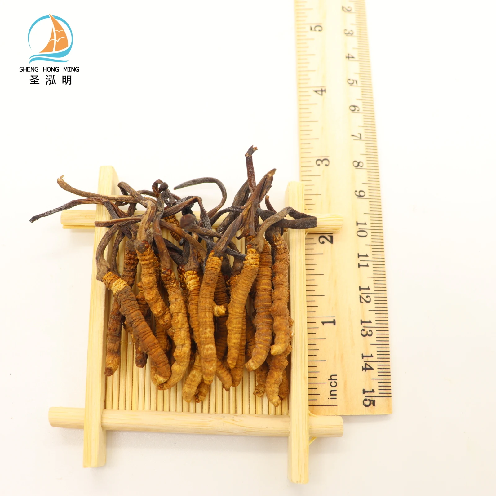 Wholesale Dried Wild Whole Plant Cordyceps Sinensis Collagen Amino Acid Cordyceps Sinensis Micelium