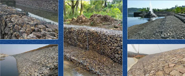 Hexagonal abion Baskets.jpg