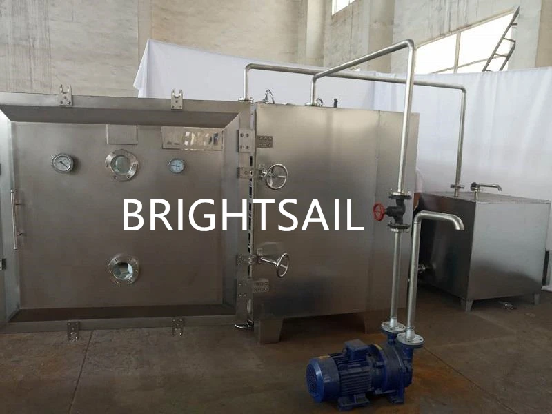 Сушильная машина Brightsail Вакуумная сушилка для трав Листьев фруктов духовка вакуумное сушильное