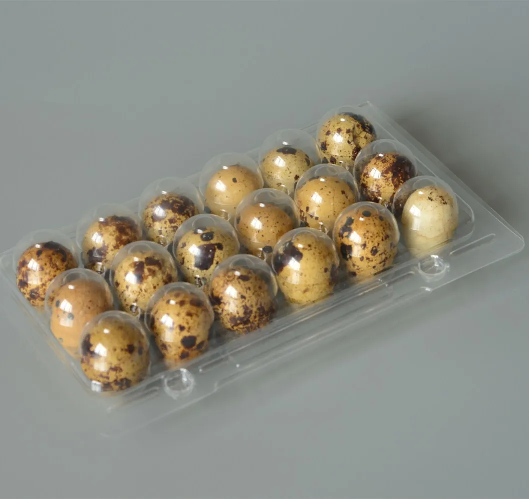 Китай OEM Складной перепелиное яйцо картонные коробки для продажи, блистер, 12 упаковок типа, одноразовые ПЭТ/ПВХ пластиковый лоток для яиц