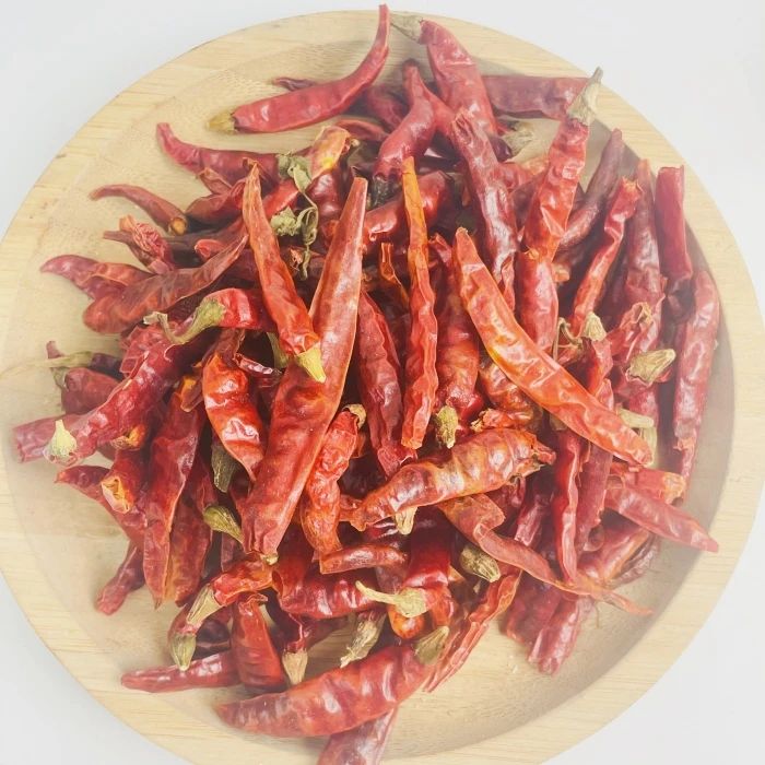 Origin Wholesale Supply Good Quality Single Spices Hot Spicy Natural Dried New Crop Red Chili Pepper