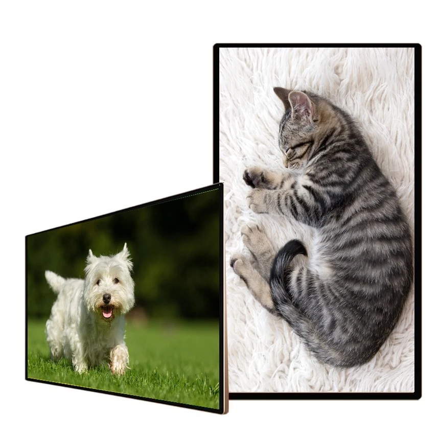 32Inch Wall Mounted USB Media Player Signage Advertising Remote Media Player For Rrestaurants