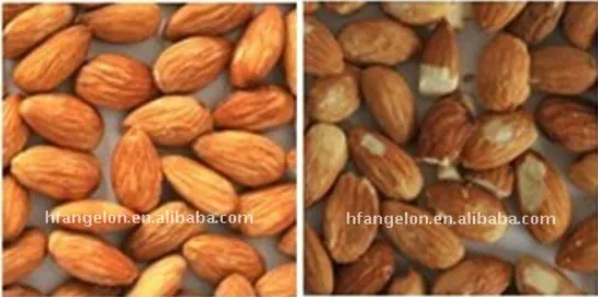 China top quality Angelon almond color sorter machine/ almond separation machine /colour sorter for almond