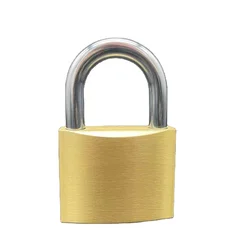 Heavy Duty Brass Padlock 20mm Cheap Good Quality Anti Cut High Security Door Lock Waterproof Padlock