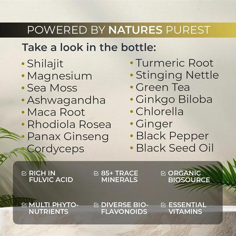 OEM Shilajit Supplement Sea Moss Ashwagandha Panax Ginseng Fulvic Acid Capsules Sea Moss Burdock Root And Bladderwrack Capsules