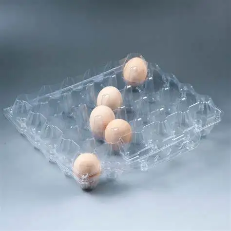 Custom Size Supermarket Home Kitchen Packaging and Display Transparent Plastic Egg Tray Box