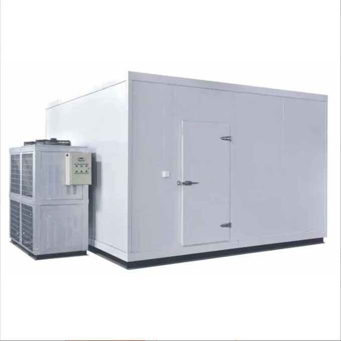 Aidear Walk In Freezer Storage Cold Storage Refrigeration/Cold Storage Machine/Cold Room Storage