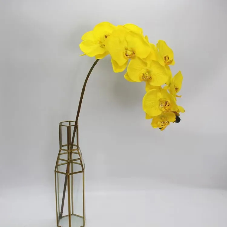 Wholesale Real Touch Phalaenopsis Artificial Flowers Phalaenopsis 10 Head Silk Cloth Home Decoration Wedding Supplies