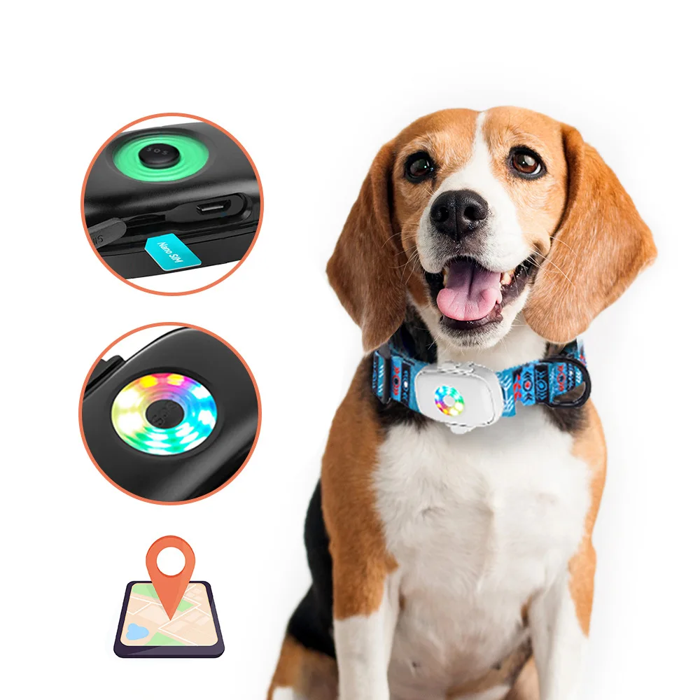 Hot selling real time positioning waterproof pet training gps tracker collar para perros 4g dog gps tracking collar with sos but