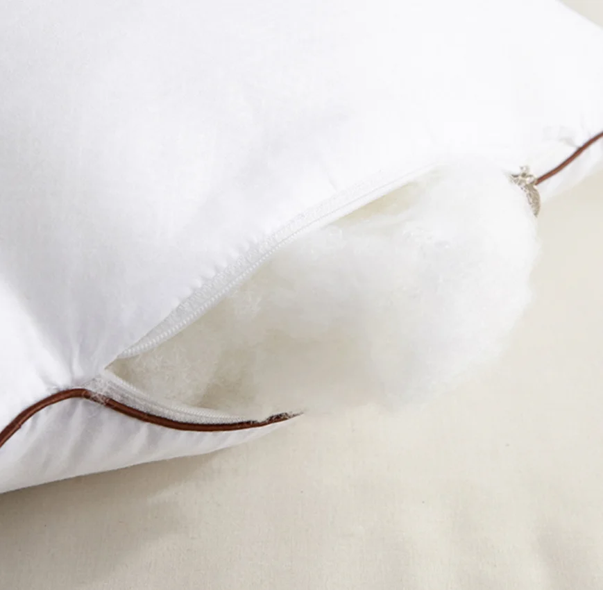 Living Room Cushion,5 star hotel premium quality 60*80cm 30% white goose down pillow