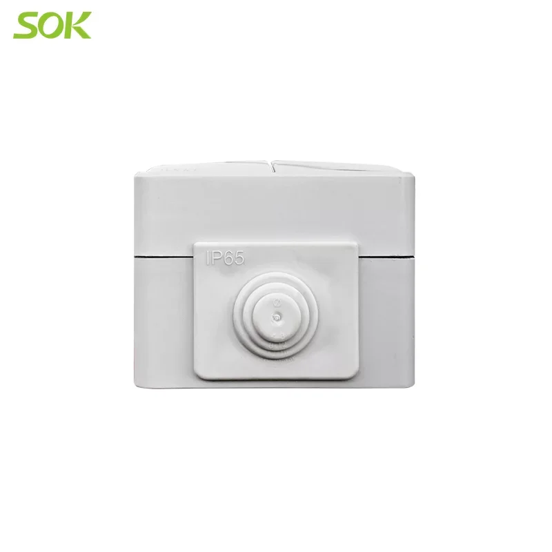 2 Way Light Switch and 2 Round Pin Power Outlet with Shutter Surface Mounted Horizontal Type Wall Electrical Switch Sockets Eu