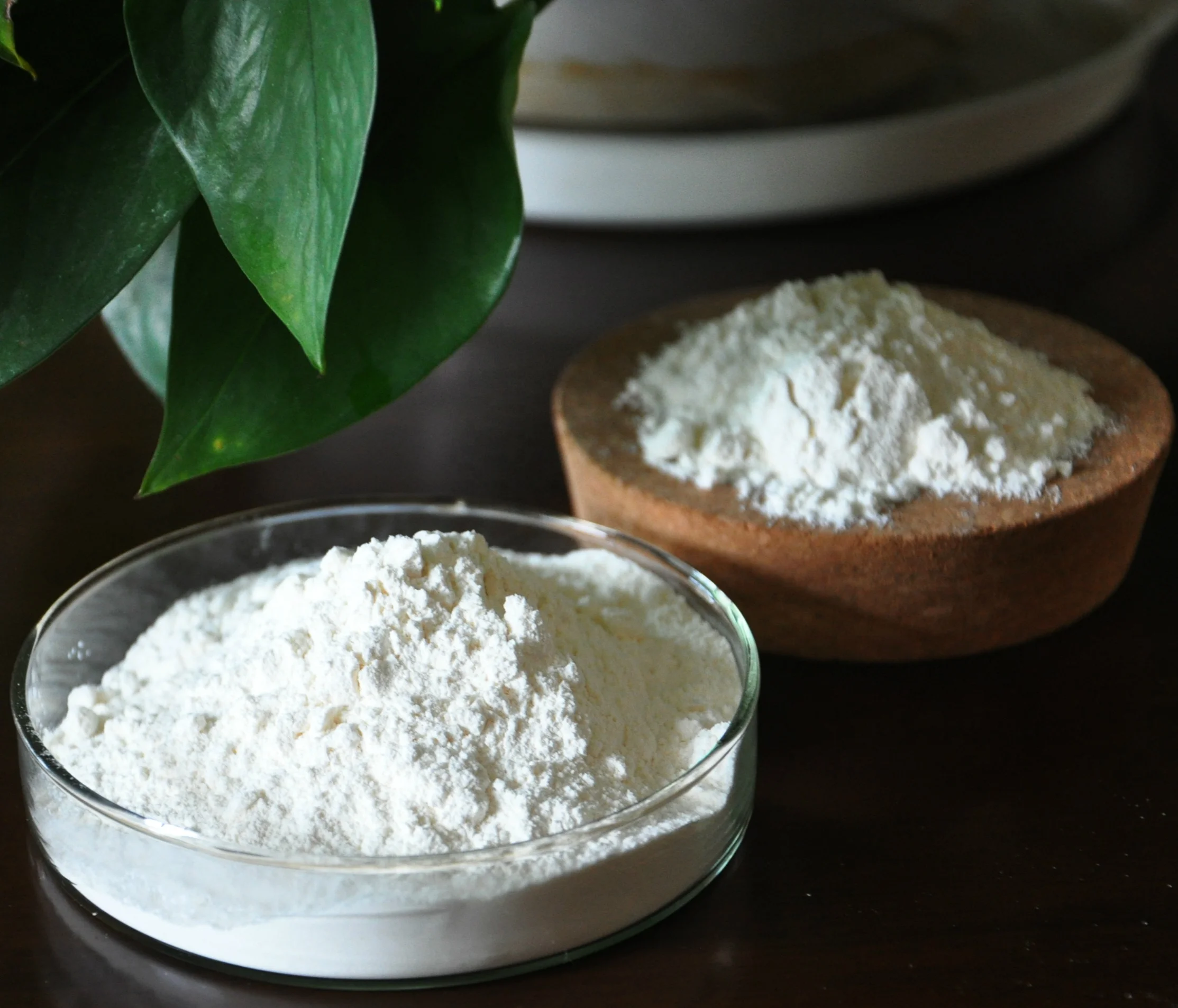 Manufacturer  native Undenatured chicken collagen ii