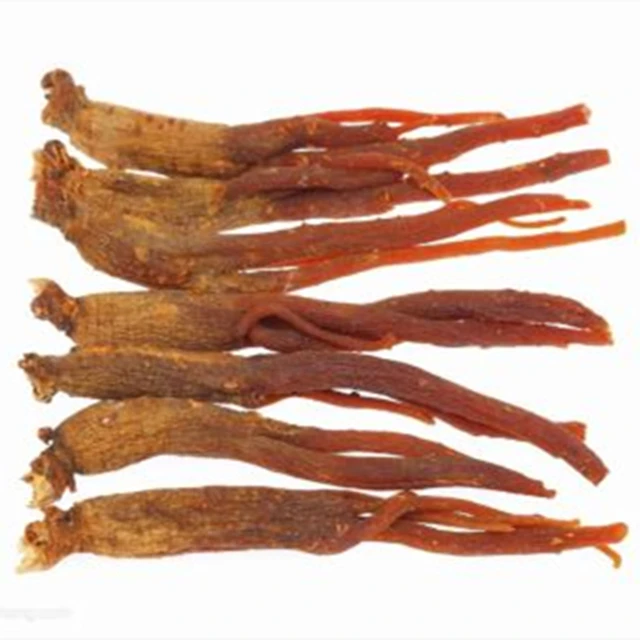 
Vitality in my body / Red ginseng gold 