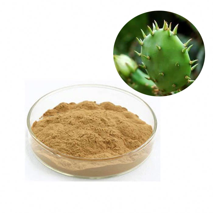 
Hot Selling Wholesale Cactus Extract nopal extract 