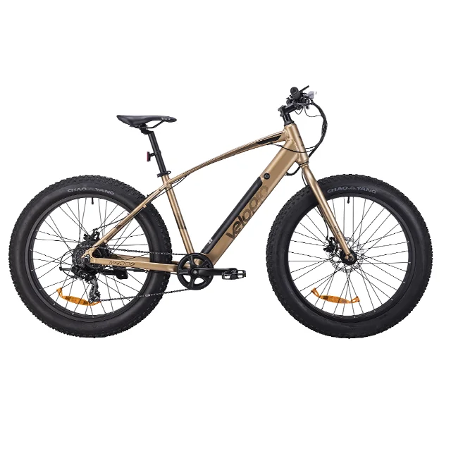 2021 hot selling enduro fat tyre electric bike 48v 500w fat tire mountain ebike new arrival 10.4a 8 speed electric mountain bike