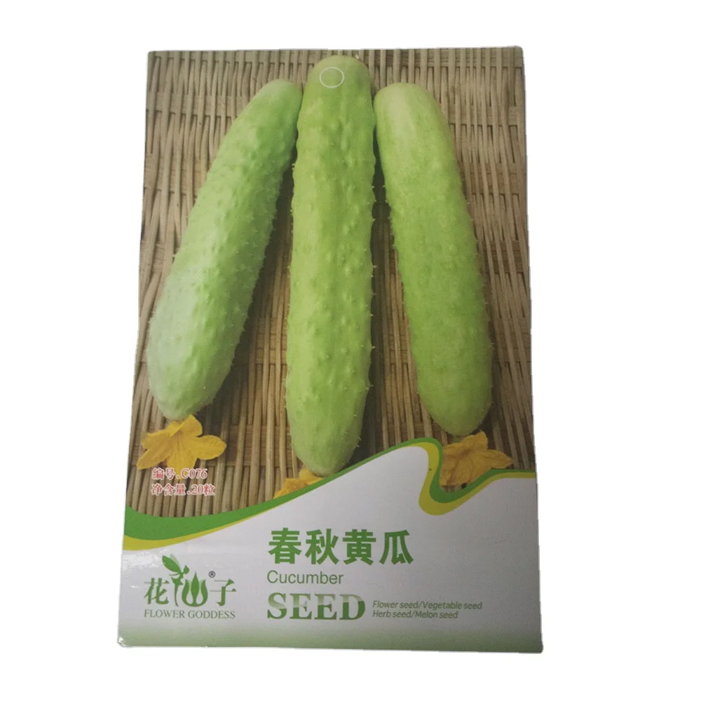 2021 Ready to ship Cucumis sativus seeds/cucumber seeds/cuke seeds with small vegetable seeds bags $0.59/bags
