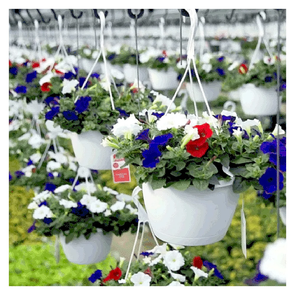 Home Durable Plant Garden Supplies Plastic Hanging Basket Planter Horticulture Flower Pots Hanging Pot