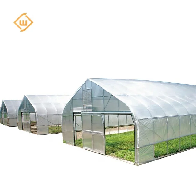 Hot-dip galvanized steel frame dome tunnel single-span greenhouse