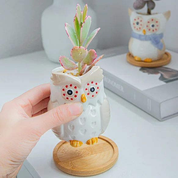 Factory Direct Sales Ceramic Mini Owl Succulent Pots Cute Animal Small Plant Planters Cactus Plants Container Bonsai Pots