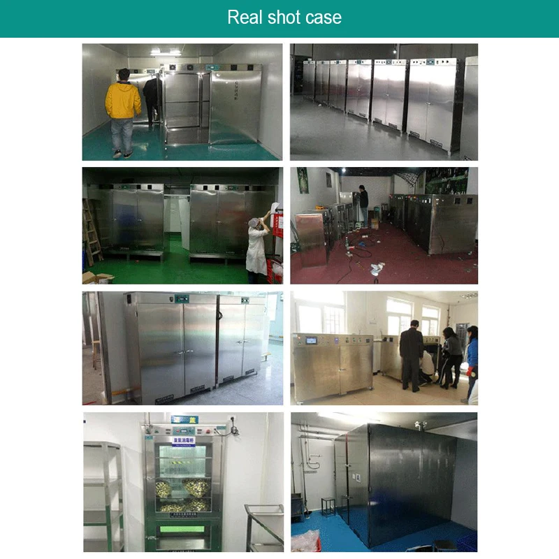 UE-GJ-A100 Ozone sterilizer disinfection cabinets equipment chamber is used for hospital clothes shoes sterilizer cabiner sale