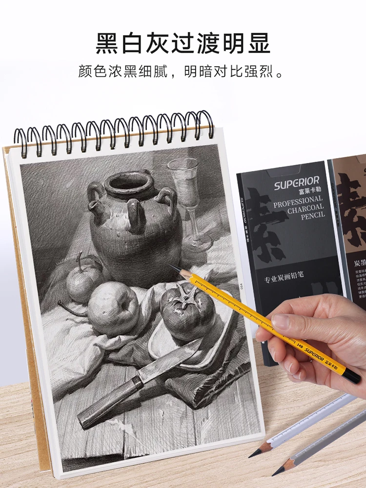 Charcoal Pencils for Drawing Set Soft, Medium, Hard  for Drawing, Shading and Sketching for Artists and Beginners